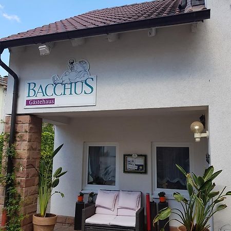 Gaestehaus Bacchus Wachenheim an der Weinstraße Exteriör bild