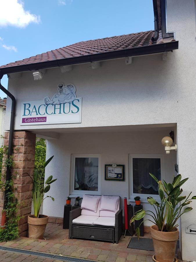 Gaestehaus Bacchus Wachenheim an der Weinstraße Exteriör bild